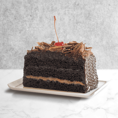 torta-de-chocolate-porcion-500x500.jpg
